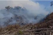 EL AREA DE CONSERVACION AMBIENTAL ACA LA COLINA ES INCENDIADA DE MANERA PREMEDITADA