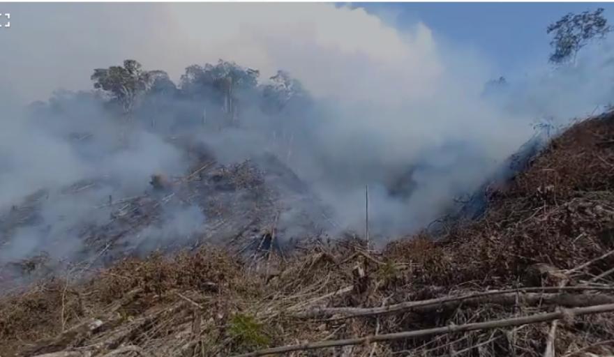 EL AREA DE CONSERVACION AMBIENTAL ACA LA COLINA ES INCENDIADA DE MANERA PREMEDITADA